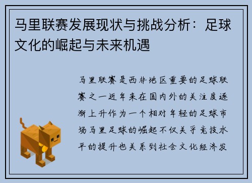 马里联赛发展现状与挑战分析：足球文化的崛起与未来机遇